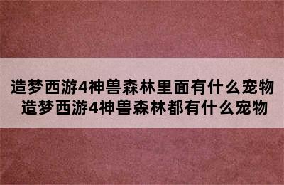 造梦西游4神兽森林里面有什么宠物 造梦西游4神兽森林都有什么宠物